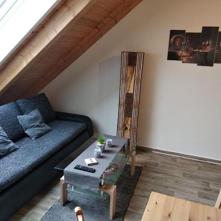 Appartement Le Miracle Rezidence Speicher ミクロフ エクステリア 写真