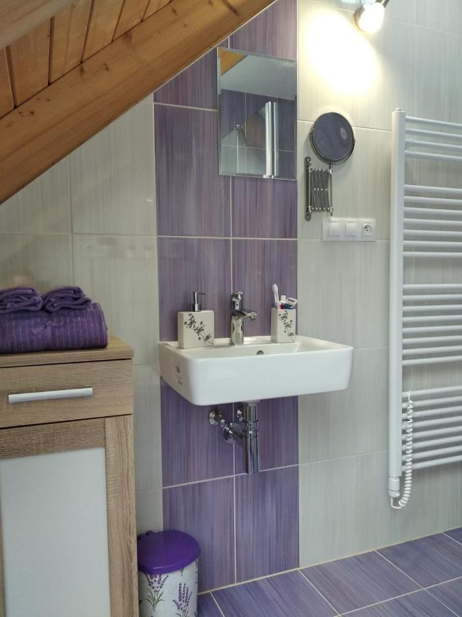 Appartement Le Miracle Rezidence Speicher ミクロフ エクステリア 写真