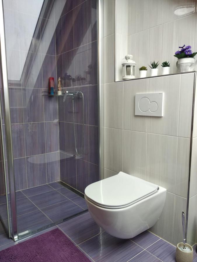 Appartement Le Miracle Rezidence Speicher ミクロフ エクステリア 写真